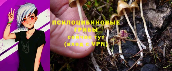 мдма Нефтекумск