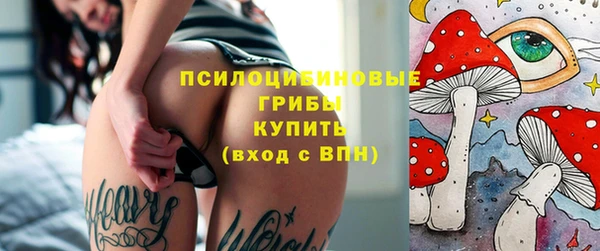 ECSTASY Болотное