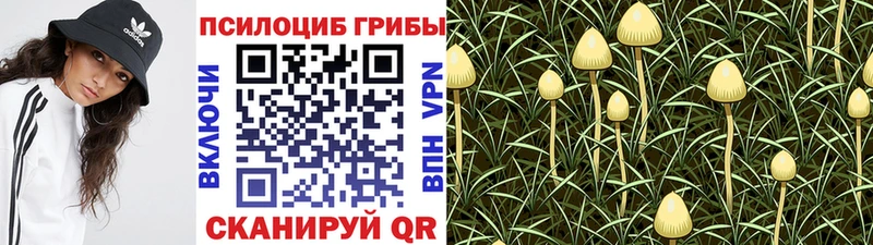 Галлюциногенные грибы MAGIC MUSHROOMS Гагарин