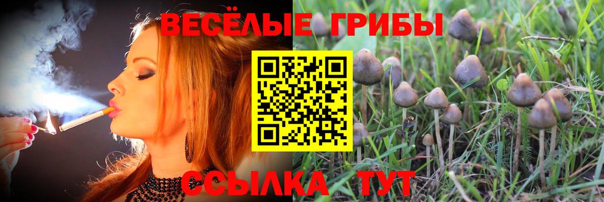 Гагарин  Галлюциногенные грибы прущие грибы  Вход с VPN 