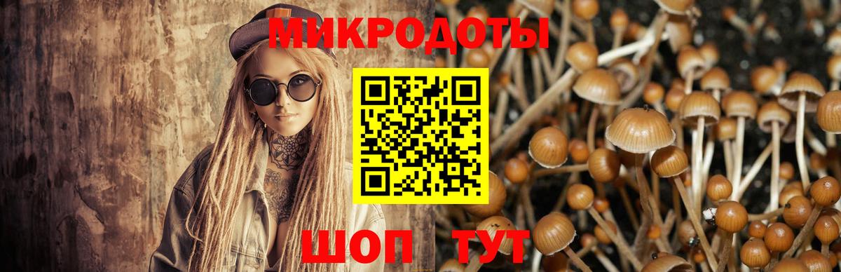 Галлюциногенные грибы мицелий Гагарин