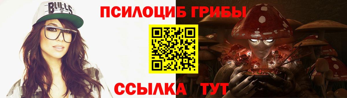 даркнет сайт  Гагарин  Галлюциногенные грибы мицелий  Псилоцибиновые грибы мицелий 